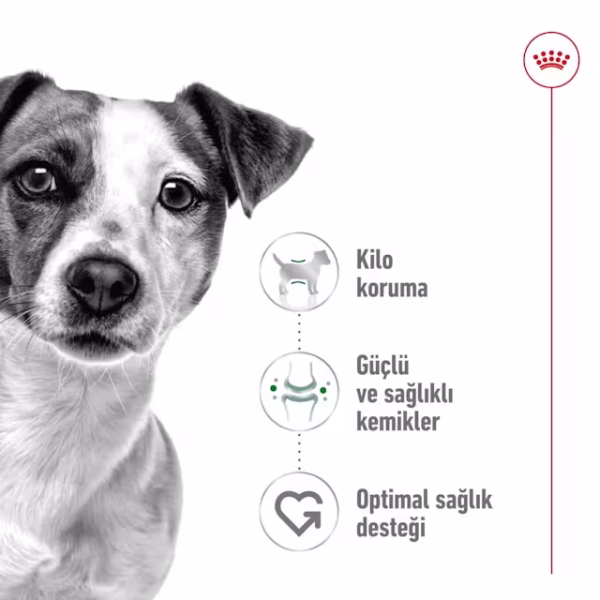 Mini Adult Kuru Köpek Maması 2kg - Görsel 2
